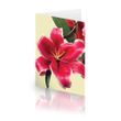 Lily Garden Card
